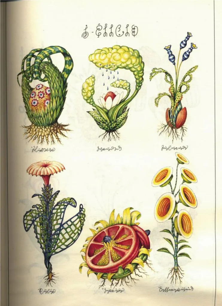 Codex 3