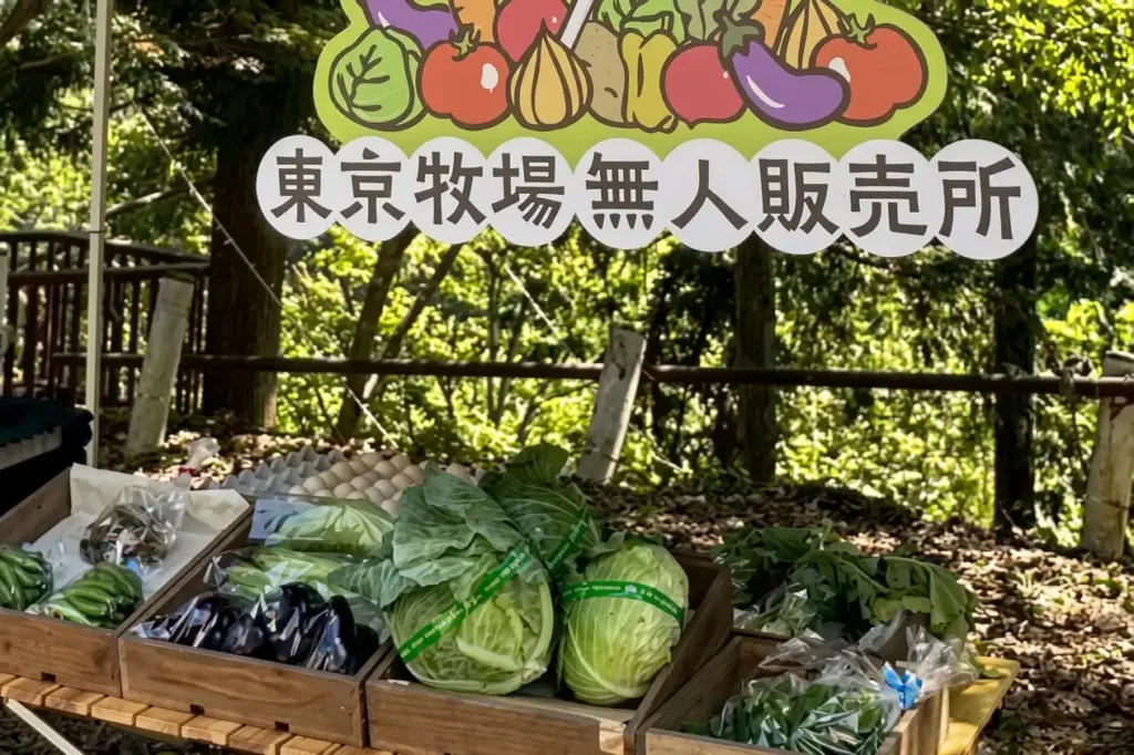 Unmanned Japan Store